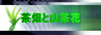 �����ƎR����