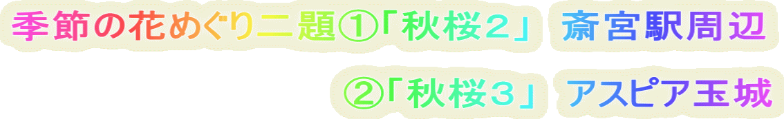 �G�߂̉Ԃ߂�����@�u�H���Q�v�@�֋{�w����  �@�@�@�@�@�@�@�@�@�@�@�@�A�u�H���R�v�@�A�X�s�A�ʏ�